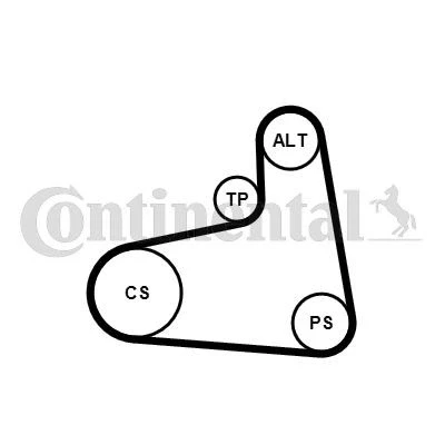 Billede af CONTITECH 6PK906K3 Kileribberem VOLKSWAGEN: Golf 4, 4 Variant, SKODA: Octavia 1 Combi, I Hatchback