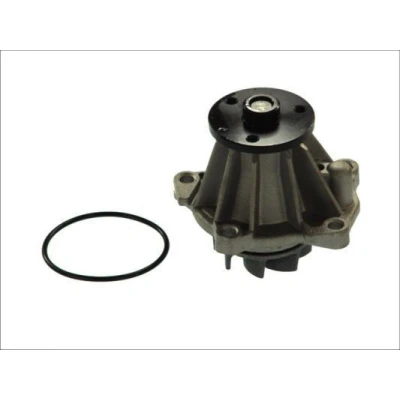 Billede af THERMOTEC D1G033TT Vandpumpe med pakning mekanisk FORD: Sierra Mk1 Hatchback, Mk2 Sedan, Scorpio Sedan