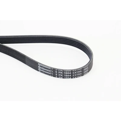 Billede af CONTITECH 5PK1664 EXTRA Kileribberem 1664 5 OPEL: Karl