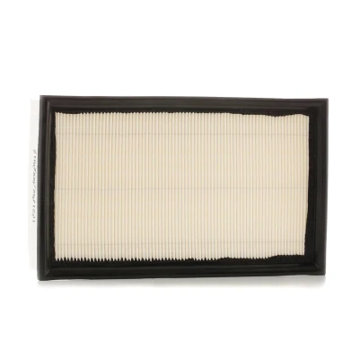 Billede af FILTRON AP 074/6 Luftfilter 57 171,5 281,5 Filterindsats VOLVO: V50, S40 II, C30, FORD: Focus 2 Kombi, C Max,