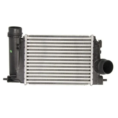 Billede af THERMOTEC DA1006TT Intercooler 282 X 217 62 mm NISSAN: Trail