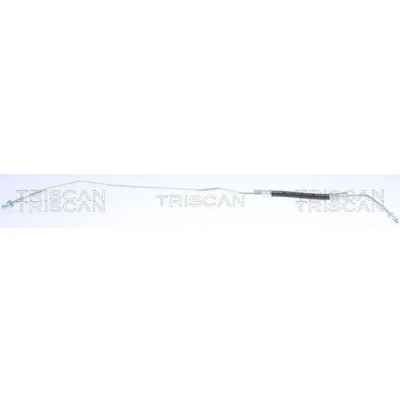 Billede af TRISCAN 8150 29343 Bremseslange 163 M10x1 SEAT: Alhambra I