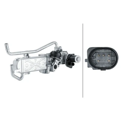 Billede af HELLA 6NU 358 167 011 EGR Modul med pakninger, køler ventil VOLKSWAGEN: Polo V Hatchback, SEAT: Ibiza 4 ST, 4, SKODA: Fabia 2