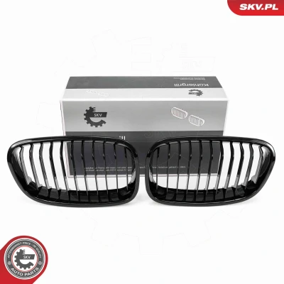 Billede af ESEN SKV 66SKV012 Kølergitter sort, skinnende BMW: 1 Hatchback, Hatchback