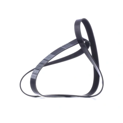 Billede af DAYCO 7PK1675 Kileribberem 1675,0 7 RENAULT: MEGANE 4, 3 Grandtour, GRAND SCENIC 3, NISSAN: Qashqai 2, X Trail