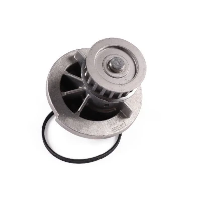 Billede af HEPU P346 Vandpumpe 19 med pakning mekanisk OPEL: Astra G CC, Meriva A