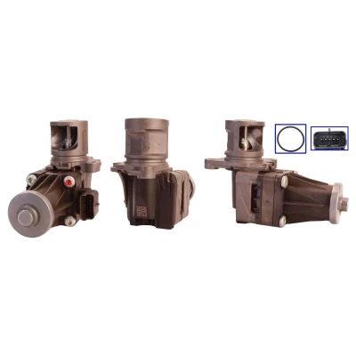 Billede af DRI 717730085 EGR Ventil elektrisk med pakninger PEUGEOT: 207 SW, 5008 I, 308 I FORD: MONDEO 4 Turnier, S Max Mk1, Grand C
