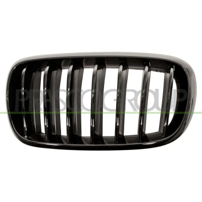 Billede af PRASCO BM8272004 Kølergitter venstre glat sort BMW: X5