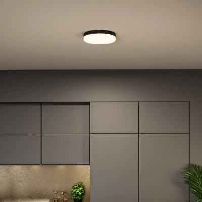 Billede af Paulmann Amalie LED loftlampe 3 step dim sort
