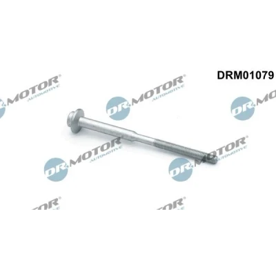 Billede af DR.MOTOR AUTOMOTIVE DRM01079 Skrue, indsprøjtningsdyseholder AUDI: A6 C7 Avant, Sedan, A4 B8 VOLKSWAGEN: Passat B7 Variant, Sharan II