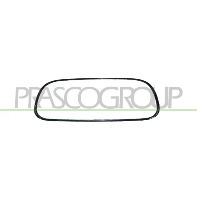 Billede af BLIC 6502 07 0501911P Kofangergitter foran CITROËN: C1 I
