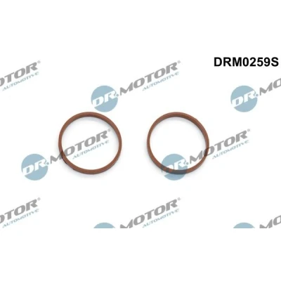Billede af DR.MOTOR AUTOMOTIVE DRM0259S Pakningssæt, indsugningsmanifold PEUGEOT: 208 I Hatchback, 3008 I, 207 CITROËN: C3 II, C4 Grand Picasso