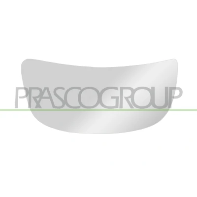 Billede af Spejlglas, udvendig spejl PRASCO OP9327534