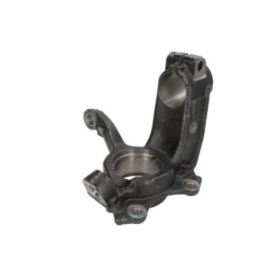 Billede af REINHOCH RH08 0033 Hjulspindel foraksel, venstre VOLKSWAGEN: Golf 4, Polo V Hatchback, 5, SKODA: Fabia 2, I 1 Combi