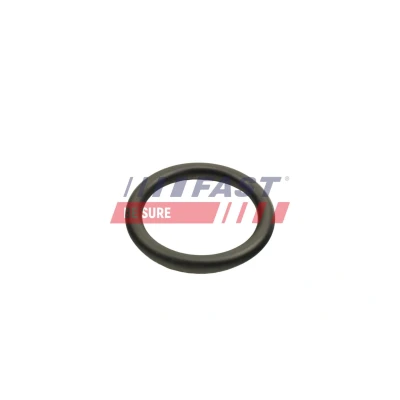 Billede af FAST FT48812 Pakninger Turbine indgang