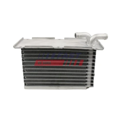 Billede af FAST FT55428 Olieradiator VOLKSWAGEN: Polo V Hatchback, GOLF Plus / Crossgolf, 6, SEAT: Ibiza 4 ST, 4, Sportcoupe, SKODA: Fabia 2