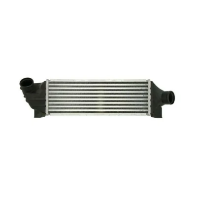 Billede af THERMOTEC DAG010TT Intercooler Aluminium, plastik 400 130 73