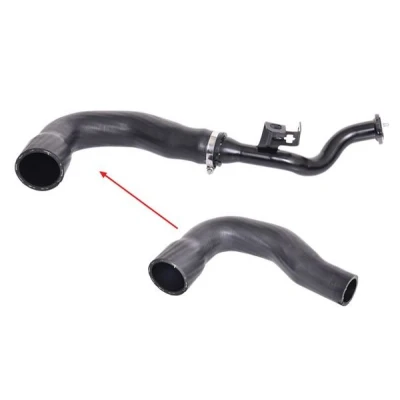 Billede af BUGIAD 88492 Trykslange FIAT: Punto Evo Hatchback, Doblo II Van / Stationcar, Grande Hatchback