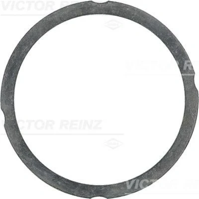 Billede af REINZ 61 25475 60 Toppakning 1,3 102,6