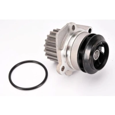 Billede af THERMOTEC D1W049TT Vandpumpe 19 med pakning mekanisk VOLKSWAGEN: Golf 6, Polo V Hatchback, SKODA: Octavia 2 Combi, Superb II Stationcar, Yeti