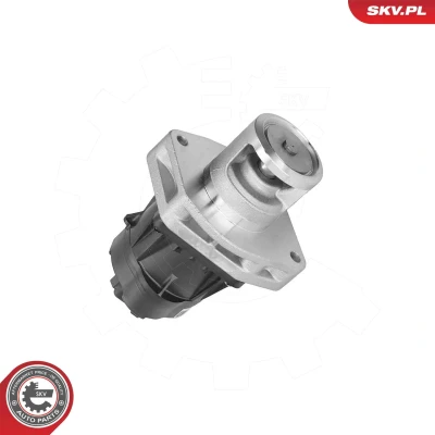 Billede af EGR ventil ESEN SKV 14SKV302