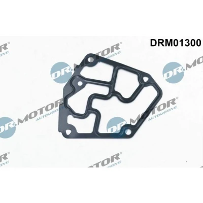 Billede af DR.MOTOR AUTOMOTIVE DRM01300 Pakninger VOLKSWAGEN: Golf 4, AUDI: A4 B6 Avant, B5 Sedan, SEAT: Leon I Hatchback