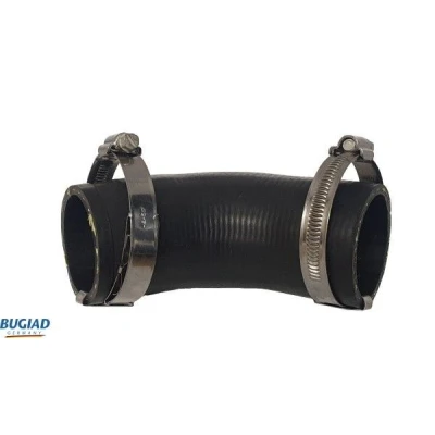 Billede af BUGIAD 82612 Trykslange 60 VOLKSWAGEN: Touran I, Golf 5, Plus / Crossgolf