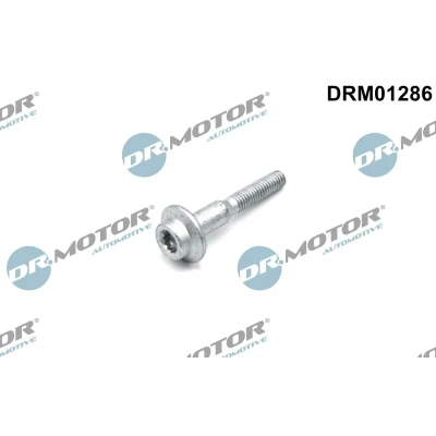 Billede af DR.MOTOR AUTOMOTIVE DRM01286 Skrue, indsprøjtningsdyseholder VOLKSWAGEN: Polo V Hatchback, SEAT: Ibiza 4 Sportcoupe