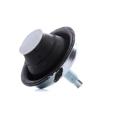 Billede af CORTECO 80001519 Motorophæng PEUGEOT: 206 Hatchback, SW