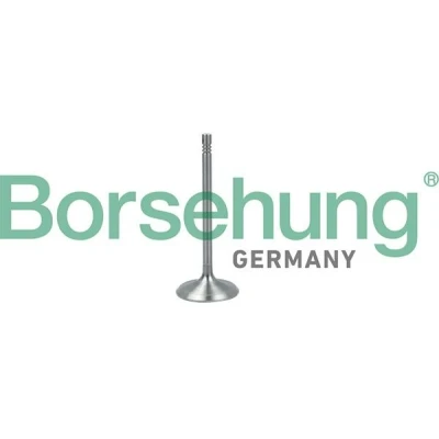 Billede af Borsehung B19017 Indsugningsventil VOLKSWAGEN: Golf 6, Touran I, 5, SKODA: Octavia 2 Combi, II Hatchback, 1 Combi