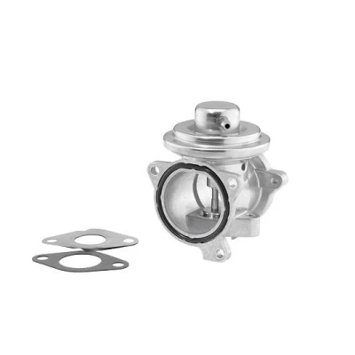 Billede af WAHLER 7271D/1 EGR Ventil pneumatisk med pakninger SKODA: Fabia 2, 1 Combi, Roomster, VOLKSWAGEN: Polo IV Hatchback, AUDI: A2