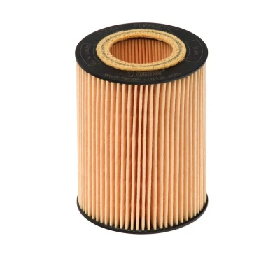 Billede af HENGST FILTER E106H D171 Oliefilter Filterindsats VOLVO: V70 3, V60 I, XC60 LAND ROVER: Freelander 2 SUV