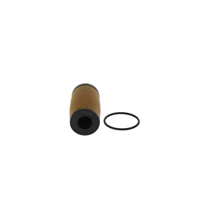 Billede af BOSCH F 026 407 317 Oliefilter med pakning Filterindsats RENAULT: Trafic 3, Talisman Grandtour, Sedan, NISSAN: NV300 Van