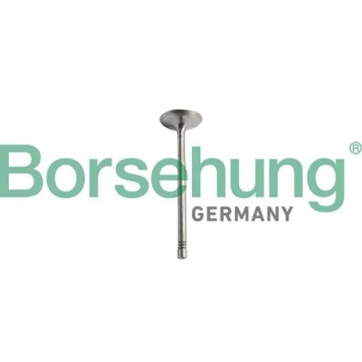 Billede af Borsehung B10351 Indsugningsventil