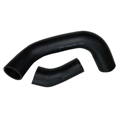 Billede af BUGIAD 88788 Trykslange FORD: C Max, Focus 2 Kombi, 2, VOLVO: V50, C30