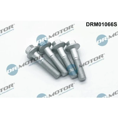 Billede af DR.MOTOR AUTOMOTIVE DRM01066S Skrue, indsprøjtningsdyseholder FORD: Galaxy Mk2 MPV, MONDEO 4 Turnier, Focus 2 Kombi