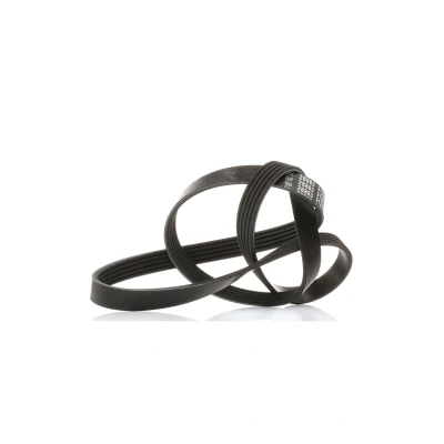 Billede af FEBI BILSTEIN 28863 Kileribberem 1213 5 EPDM (ethyl propylen dien gummi) OPEL: Astra H Caravan, Zafira B, G CC