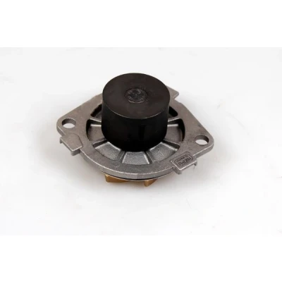 Billede af HEPU P1053 Vandpumpe med pakning mekanisk 48