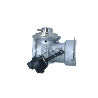 Billede af NRF 48633 EGR Ventil pneumatisk med pakninger VOLKSWAGEN: Polo IV Hatchback, SKODA: Fabia I Hatchback
