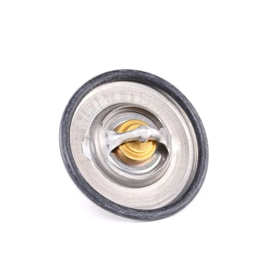 Billede af WAHLER 3141.87D Termostat 87 med pakning VOLKSWAGEN: Golf 4, 6, 5, SEAT: Ibiza 4 Sportcoupe, Altea, AUDI: A3 Sportback