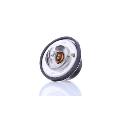 Billede af FEBI BILSTEIN 09675 Termostat 75 med tætningsring MERCEDES BENZ: SL Coupe, Cabriolet, S klasse Sedan