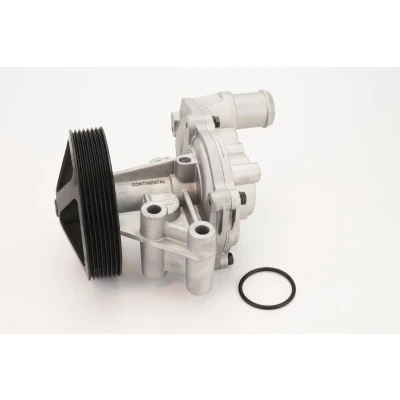 Billede af CONTITECH WPS3081 Vandpumpe med pakning hus FORD: Transit Mk6 Ladvogn/Chassis, Bus, V363 Van