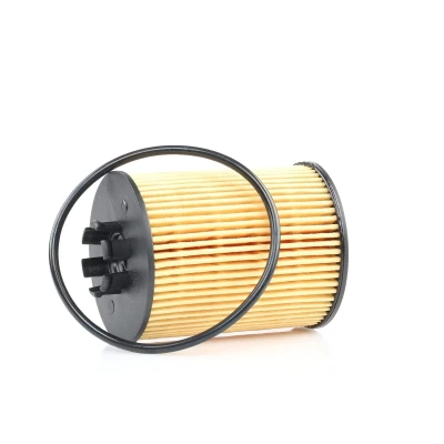 Billede af CHAMPION EON TITAN COF100519E Oliefilter Filterindsats OPEL: Corsa D Hatchback, Astra H Caravan, Meriva A, SUZUKI: Wagon R+ II Hatchback