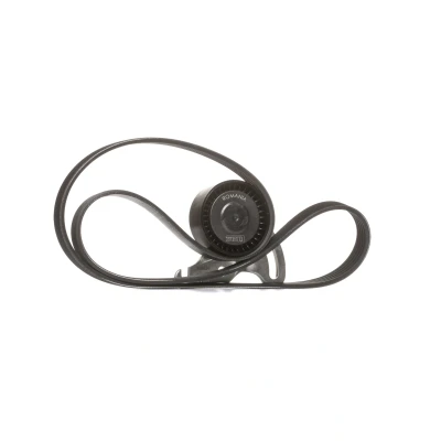 Billede af SKF VKMA 36036 Kileribberem RENAULT: MEGANE 2 Kombi, CLIO 2, 3