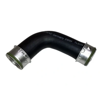 Billede af BUGIAD 81899 Trykslange VOLKSWAGEN: Polo IV Hatchback