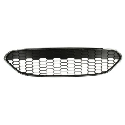Billede af BLIC 6509 01 2565990Q Kølergitter krom, sort FORD: FIESTA 6