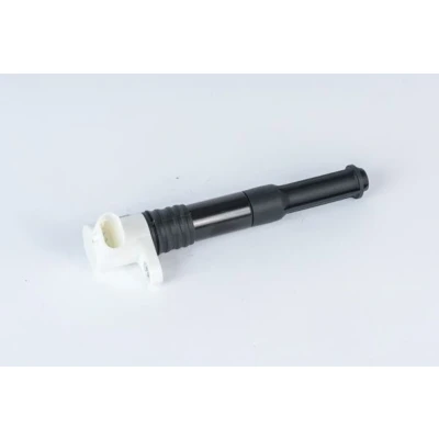 Billede af BERU ZSE219 Tændspole 3 12 sort med elektronik FIAT: Punto III Hatchback, Evo Hatchback