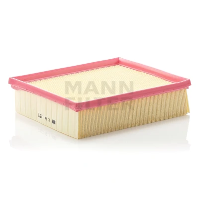 Billede af MANN FILTER C 24 123/2 Luftfilter 58 194 231 Filterindsats RENAULT: CLIO 2, LAGUNA 2 Grandtour,
