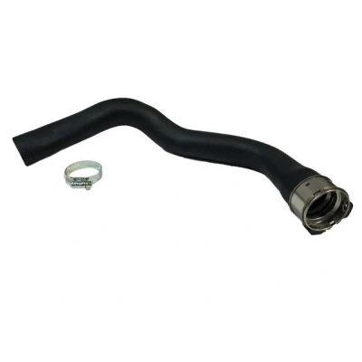 Billede af BUGIAD 81852 Trykslange NISSAN: Qashqai / Qashqai+2 I