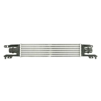 Billede af THERMOTEC DAX010TT Intercooler 450 100 53 OPEL: Corsa D Hatchback